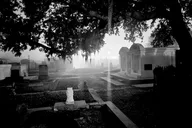New Orleans Haunted City and Cemetery Bus Tour thumbnail 1