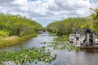Everglades Airboat Tour thumbnail 3