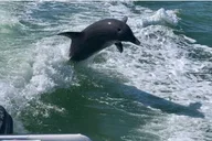Clearwater Beaches and Waterways Private Tour thumbnail 6
