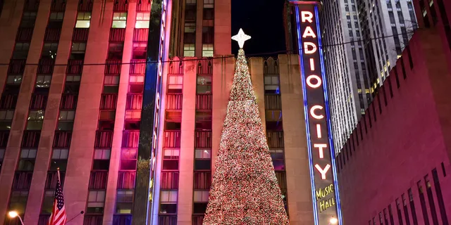 New York City Christmas Walking Tour - Image 6