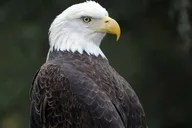 Miami Zoo Admission Ticket thumbnail 6