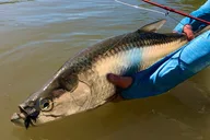 Islamorada Fishing Charter with Experienced Captain thumbnail 6
