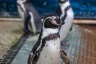 Sioux Falls Zoo Entry Ticket thumbnail 3