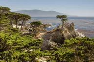 Monterey, Carmel and 17-Mile Drive Tour from San Francisco thumbnail 1