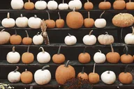 New York City Halloween Walking Tour in French thumbnail 5