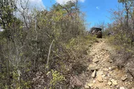 Charlottesville Off-Road Jeep Tour thumbnail 1