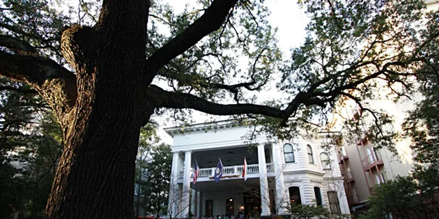 New Orleans Garden District Celebrity Homes Tour - Image 6