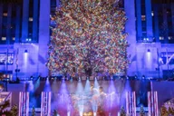 New York City Christmas Lights Pedicab Tour thumbnail 3