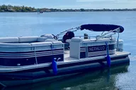 Melbourne Dolphin Tour on Luxury Boat 2 Hr thumbnail 3