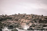 Bodega Bay Sailing Tour thumbnail 5
