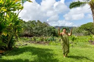 Honolulu Historical Tour thumbnail 3