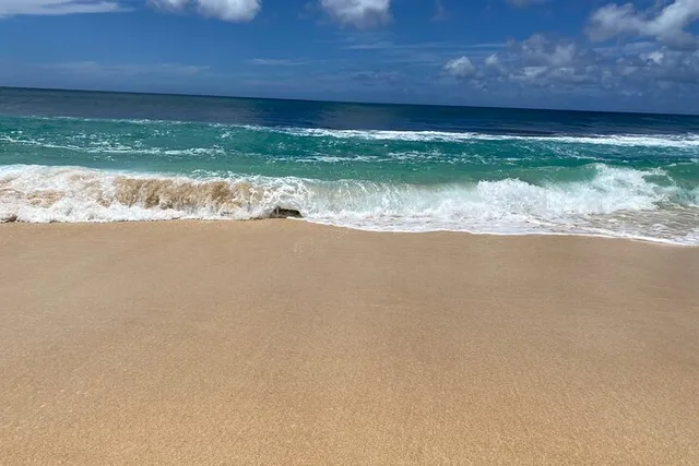 Oahu Island North Shore Small Group Tour - Image 6