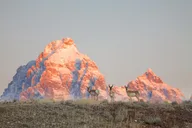 Jackson Hole Sunrise Wildlife Safari thumbnail 5