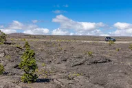 Kailua-Kona Volcanoes and Black-Sand Beach Tour thumbnail 4