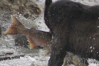 Ketchikan Private Tour with Locals 2 hr