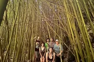 Lahaina Road to Hana Private Tour thumbnail 1