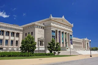 Chicago Field Museum Tour with Tickets