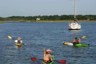 Charleston Kayak Eco Tour 2 hr thumbnail 5