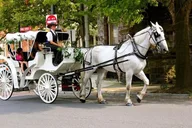 New York Horse Carriage Ride in Central Park 45 min thumbnail 2
