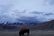 Gardiner Yellowstone National Park Guided Hike 5 hr thumbnail 2