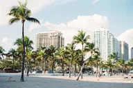 Miami Everglades and City Tour 8 hr thumbnail 1