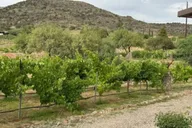 Sedona Wine Tasting Adventure 3 hr thumbnail 4