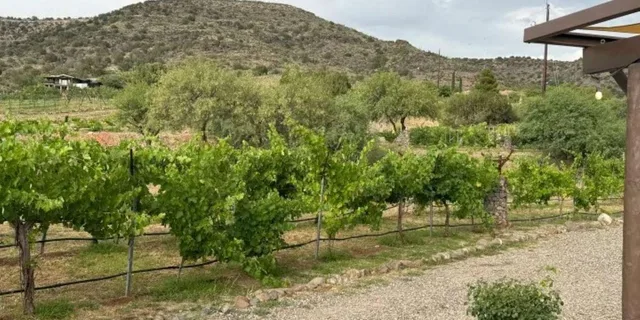 Sedona Wine Tasting Adventure 3 hr - Image 4