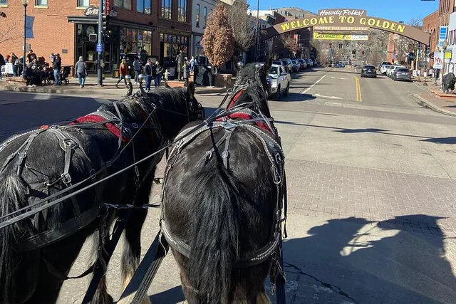 Golden Wagon Ride Tour - Image 5