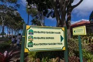 Oahu Circle Island Tour thumbnail 2