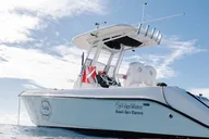 Honolulu Marine Wildlife Snorkel Tour thumbnail 5