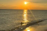 Panama City Beach Stand Up Paddle and Sip at Sunset thumbnail 3