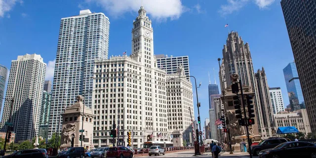 Chicago Architecture Private Tour - Image 2