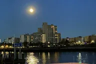 Boston Harbor Moonlight Cruise 90 min thumbnail 5