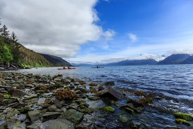 Seward Kayak Tour at Tonsina Point - Image 6