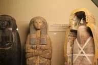 Chicago Field Museum Digital Tour thumbnail 4