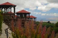 Maui Iao Valley, Distillery and Lavender Farm Tour thumbnail 6