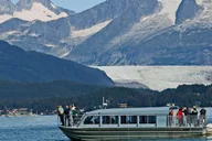 Juneau Whale Watching Cruise with Snacks thumbnail 1