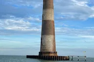Folly Beach Dolphin Boat Tour to Morris Island thumbnail 2