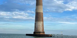 Folly Beach Dolphin Boat Tour to Morris Island