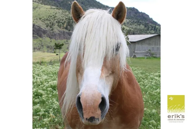 Erik's Ranch Horseback Riding Experience - Image 4