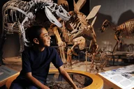 Denver Museum of Nature and Science Entry Ticket thumbnail 2