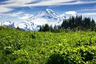 Seattle Mt Baker and Cascades SUV Tour thumbnail 3