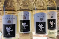 Traverse City Wine Tour on Old Mission Peninsula thumbnail 4