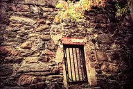 New York Central Park Secret Tour 2.5 hr thumbnail 5