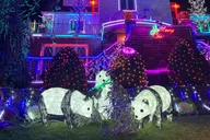 New York Dyker Heights Christmas Lights Tour thumbnail 6