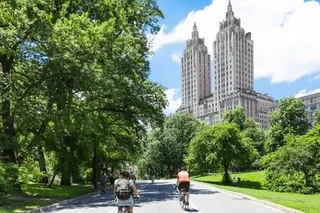 New York City Walking Tour and Central Park Cycle
