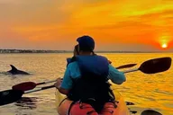 Banana River Bioluminescent Comb Jelly & Dolphin Tour thumbnail 2