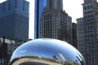 Chicago Downtown Guided Walking Tour thumbnail 4