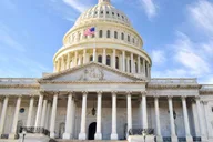Washington Private Walking Tour thumbnail 2