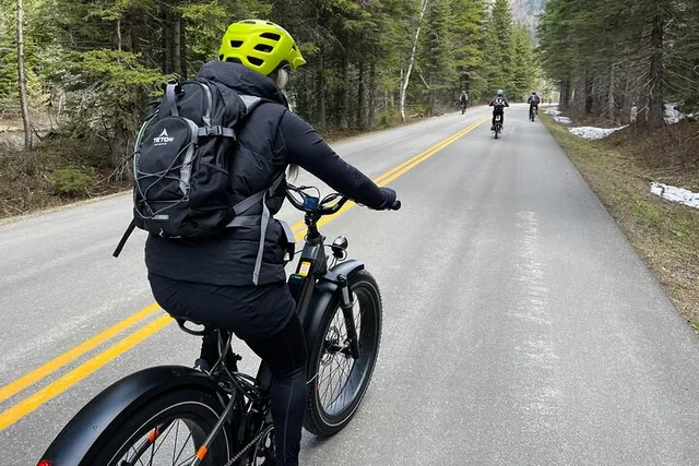 Whitefish E-Bike Rental in Flathead Valley - Image 2